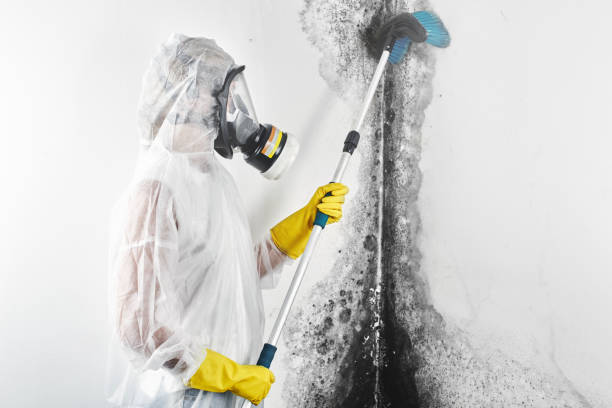 Best Forensic Mold Investigation  in USA